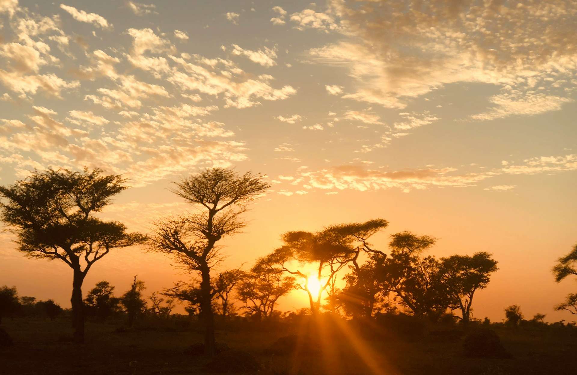 Golden-Hour-afrique